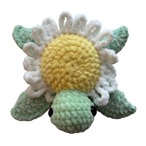 Turtle (Daisy)