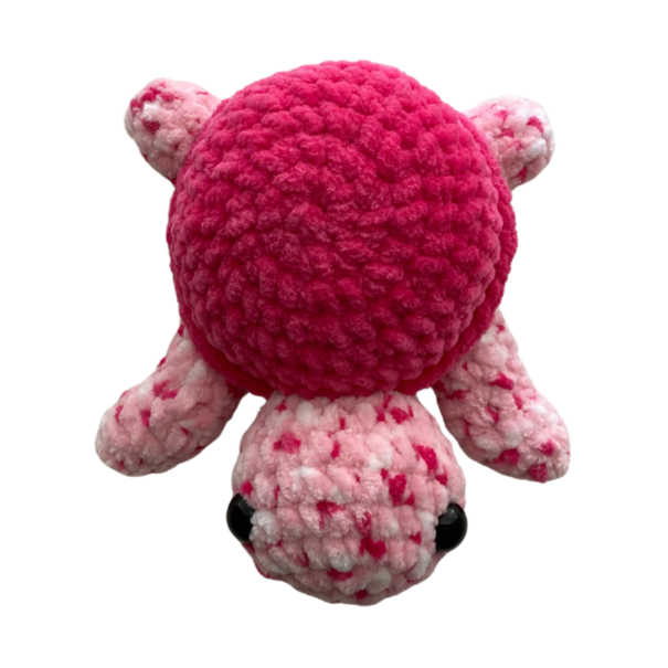 Turtle (Pink Variegated)