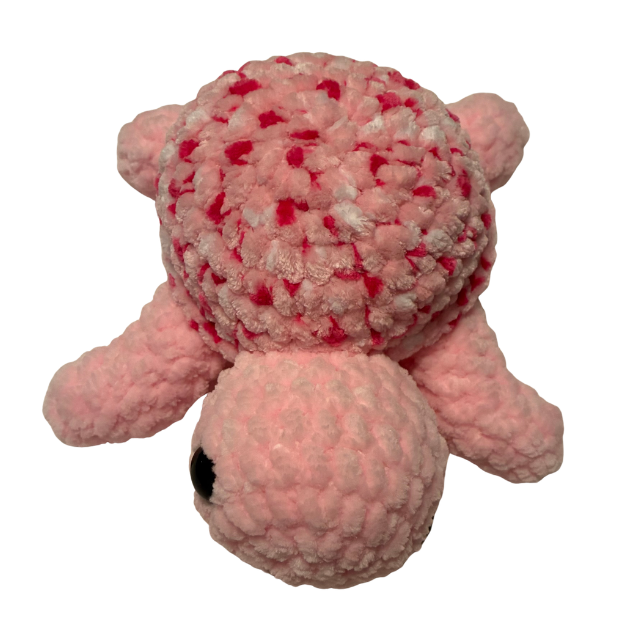 Turtle (Pink Variegated 2)