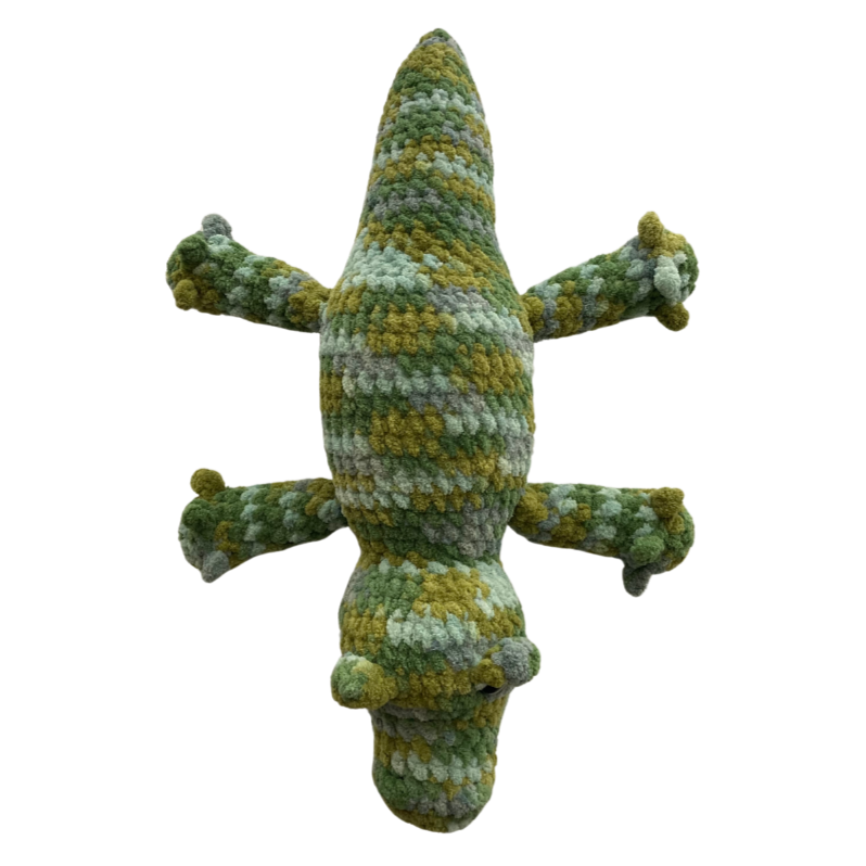 Alligator (Green Variegated)