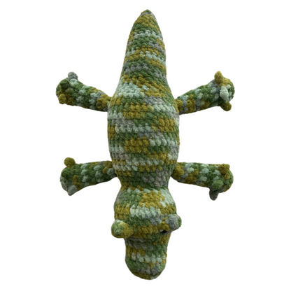 Alligator (Green Variegated)