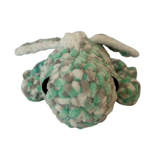 Dragon (Teal Variegated)