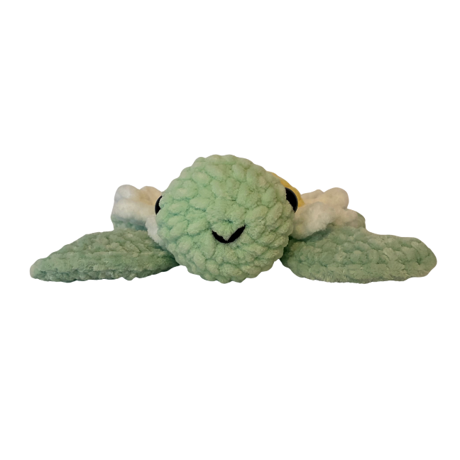 Turtle (Daisy)