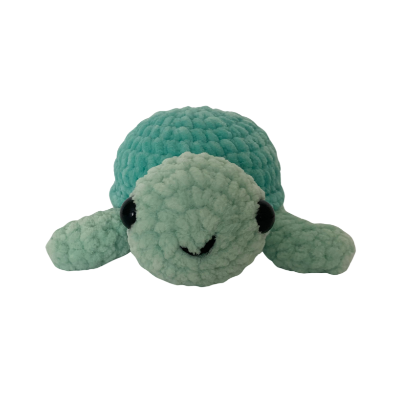 Turtle (Mint)