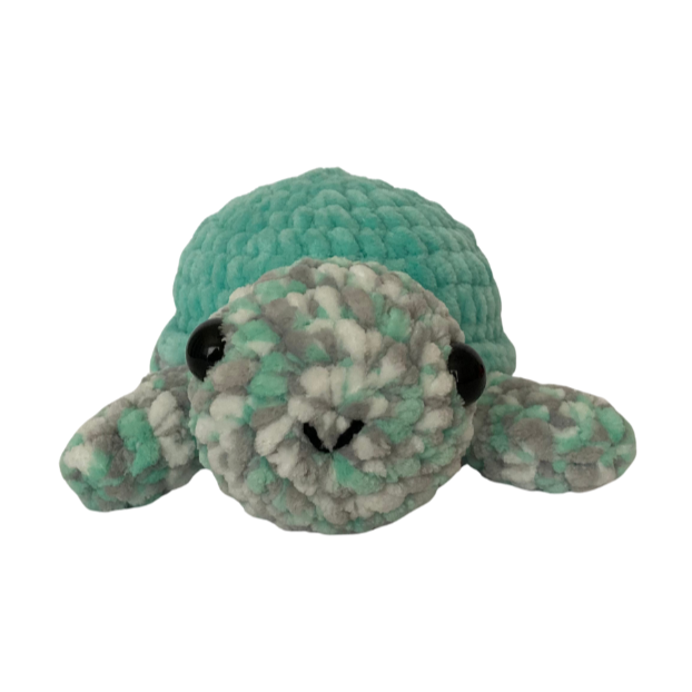 Turtle (Mint Variegated)