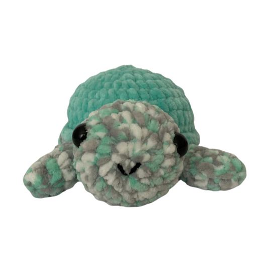 Turtle (Mint Variegated)