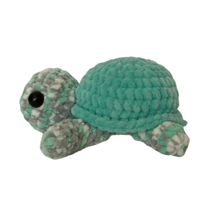 Turtle (Mint Variegated)
