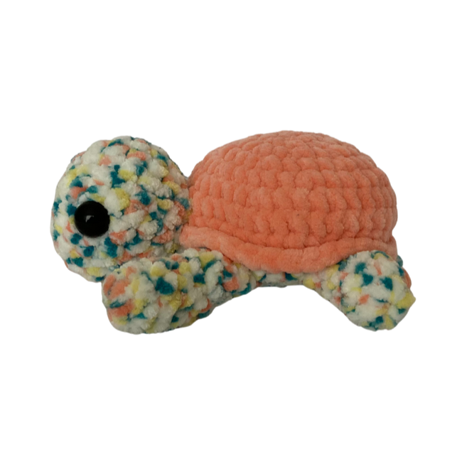 Turtle (Peach Variegated)