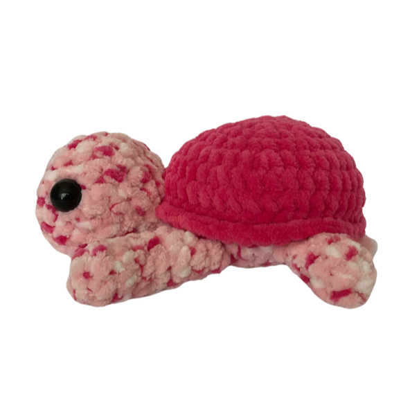 Turtle (Pink Variegated)