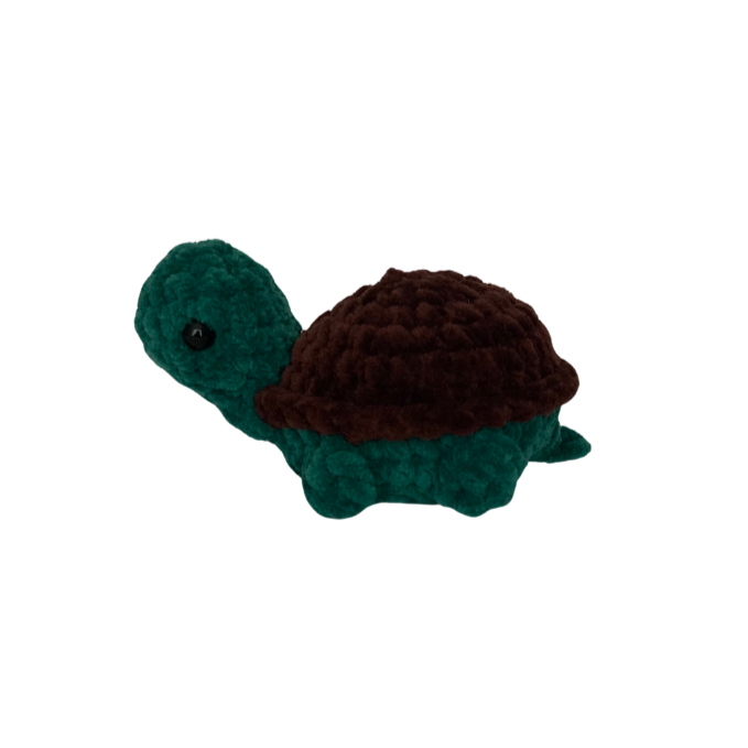 Turtle (Small)