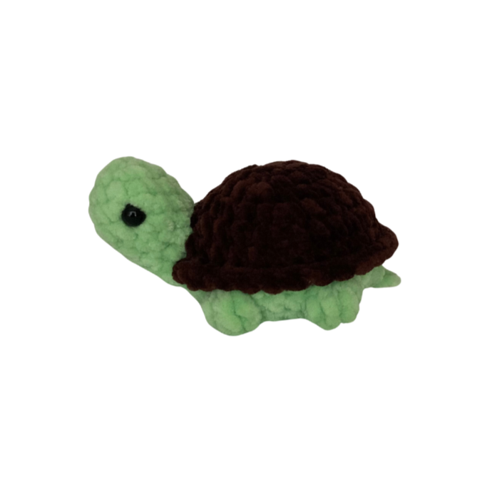 Turtle (Small)