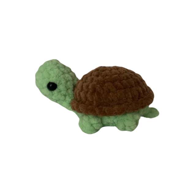 Turtle (Small)