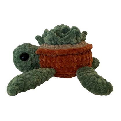 Turtle (Succulent)