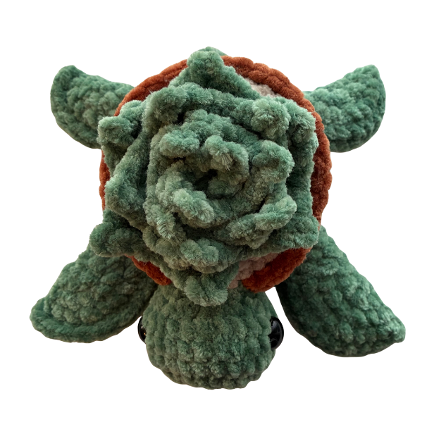 Turtle (Succulent)